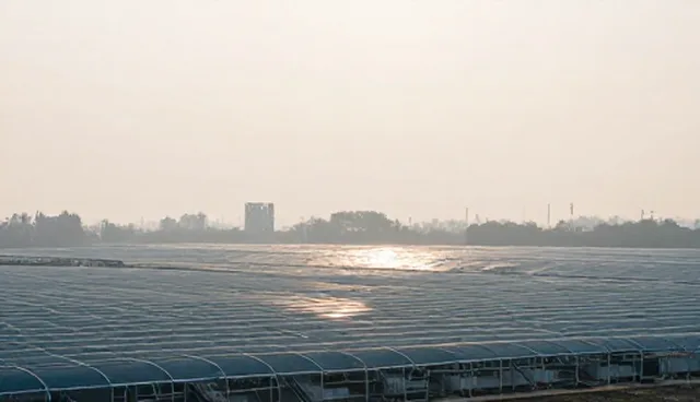 技术开发中的检查要点及维护建议